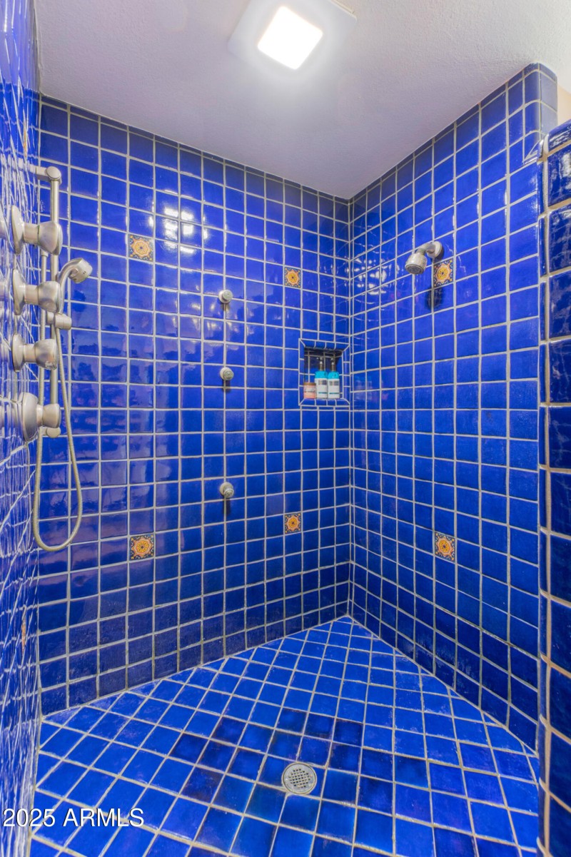 Master shower