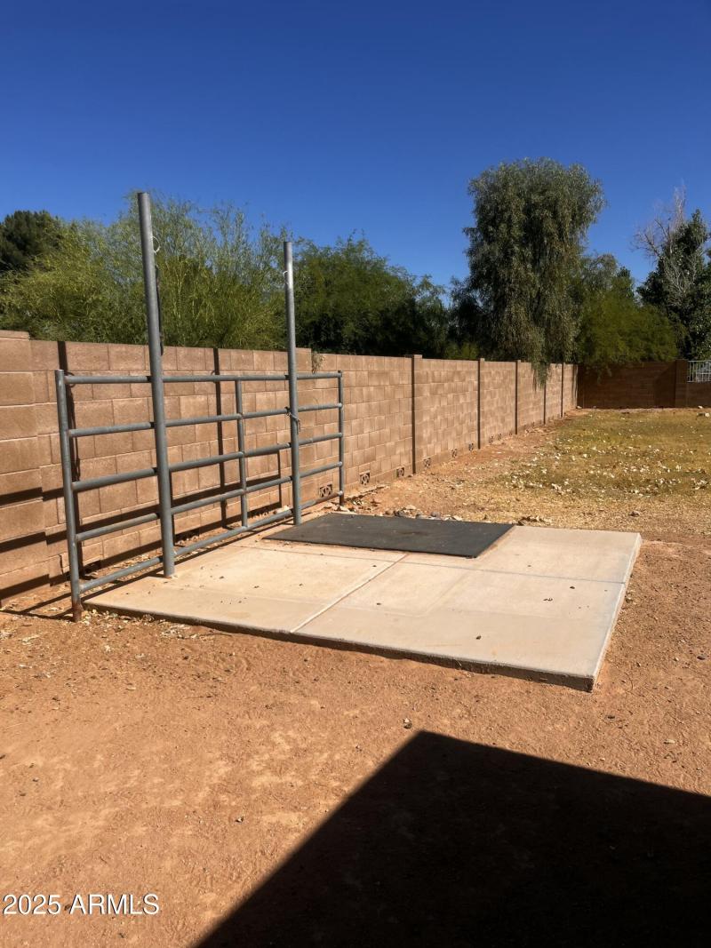 Horse Wash
