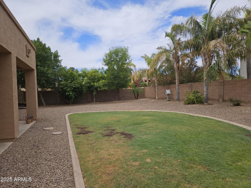 Backyard