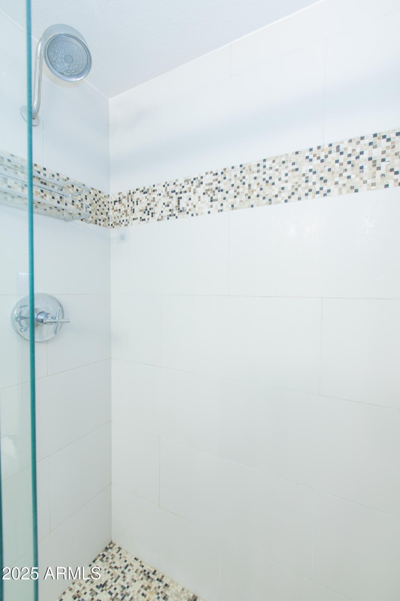 Primary Shower