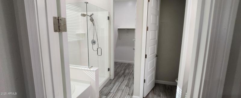 Master bathroom