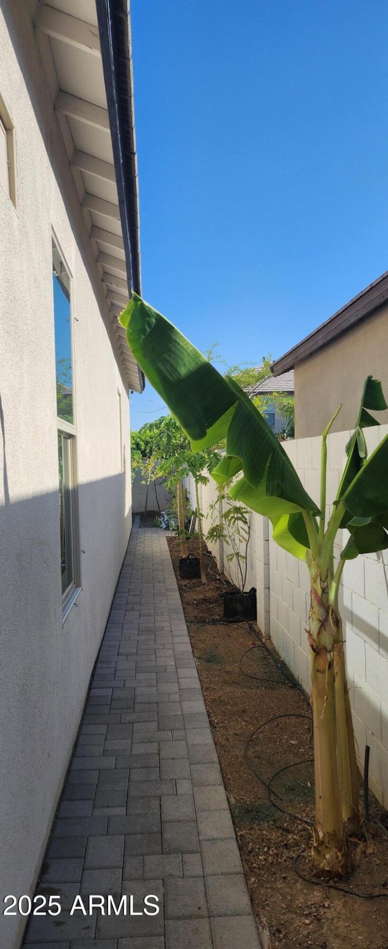 Side yard