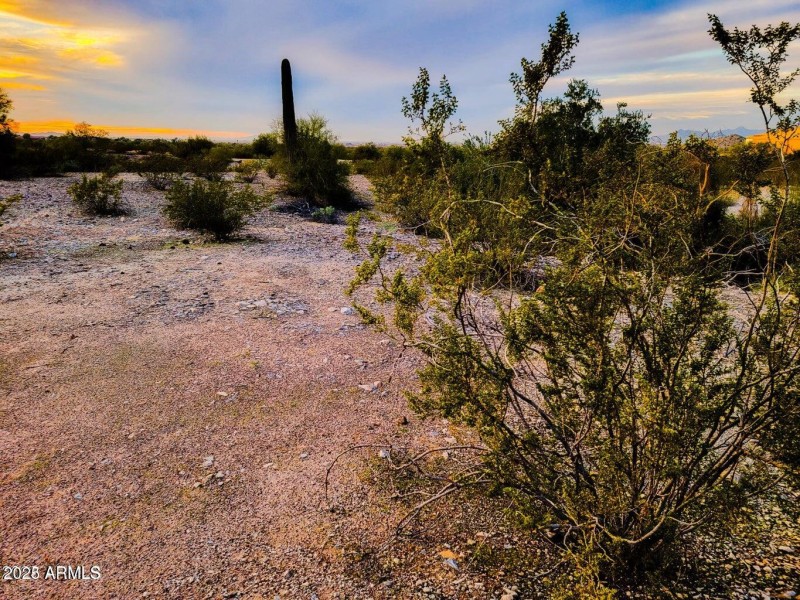 Alluring Desert Landscape!
