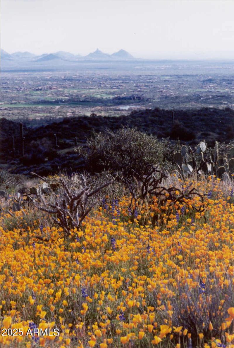 Trails view 2