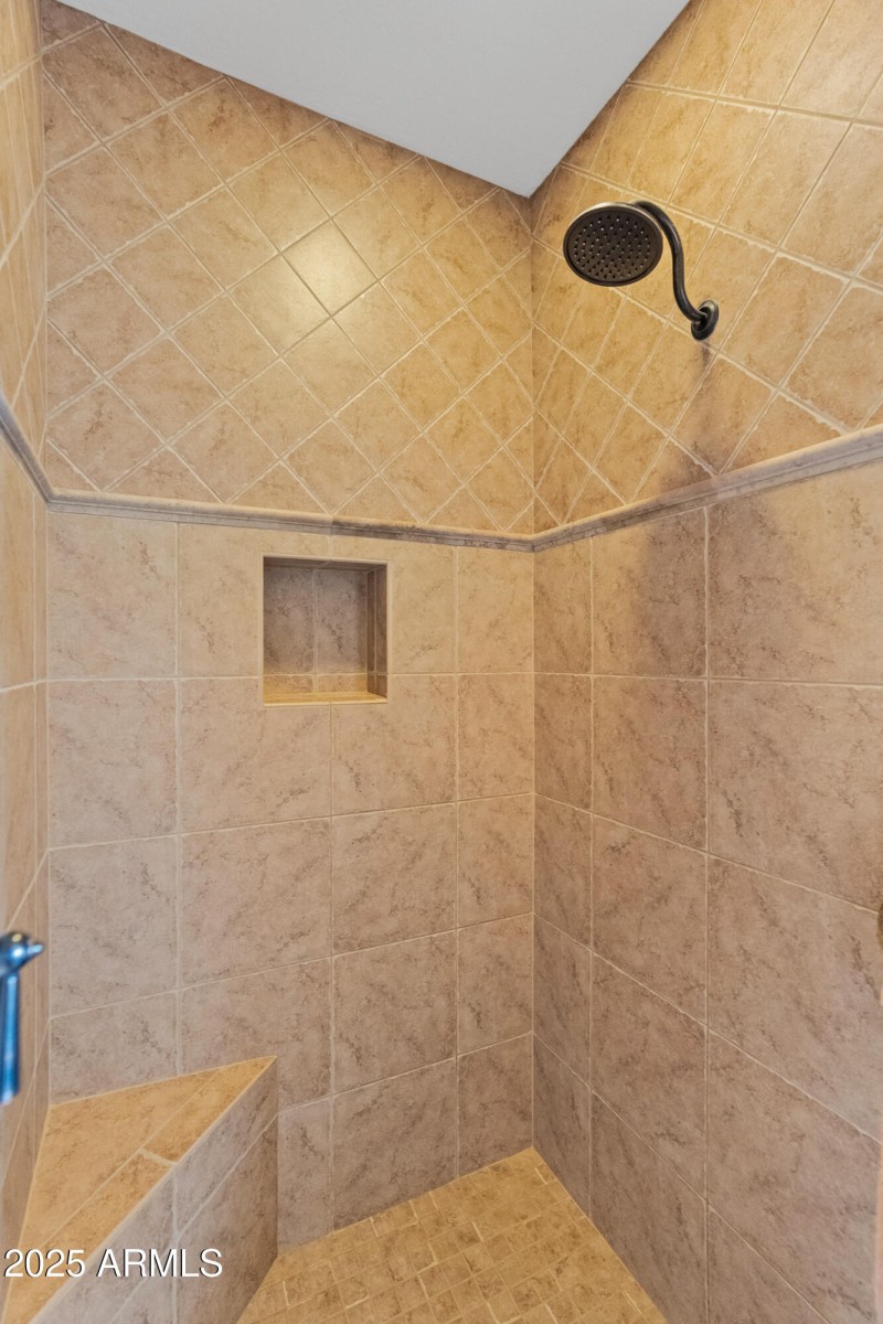 Primary Shower
