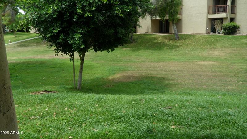 patio overlook commons