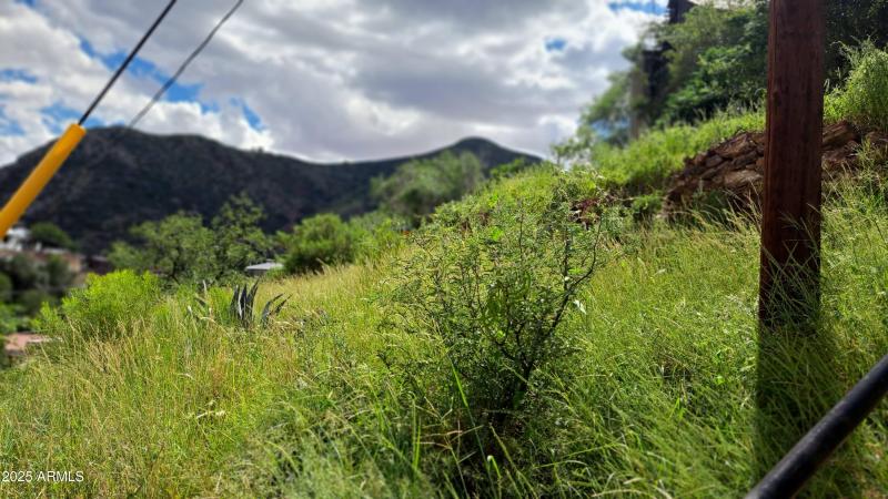 field