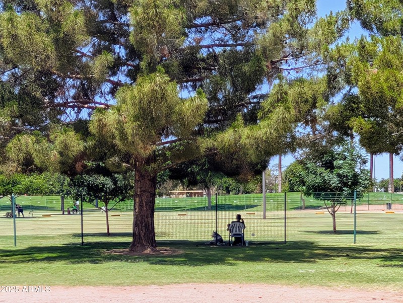 Dog Park