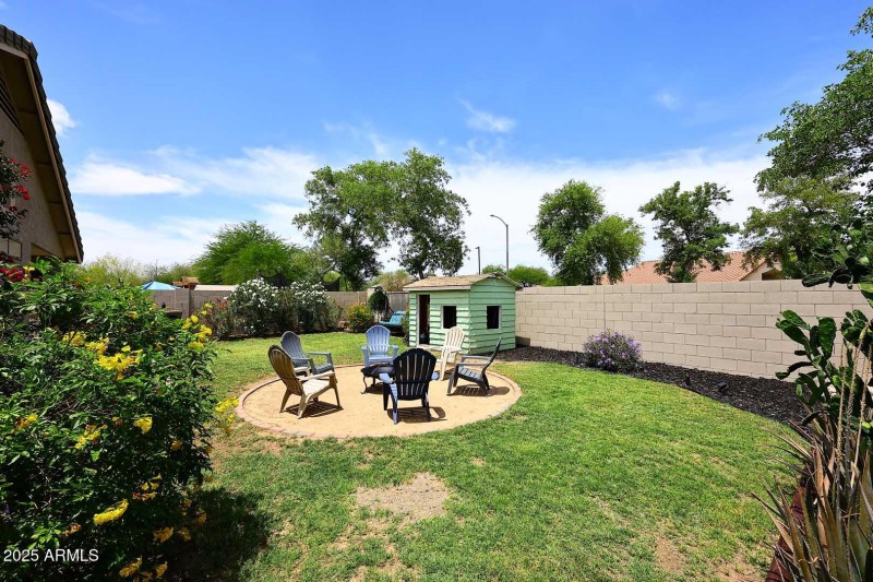 Backyard2