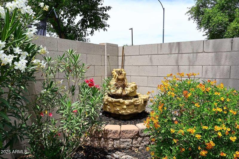 Backyard-Fountain
