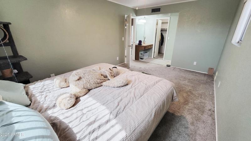 Dressing Area and Walk-In Closet