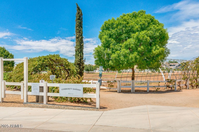 Community Garden