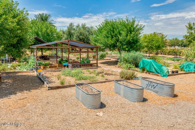 Community Garden