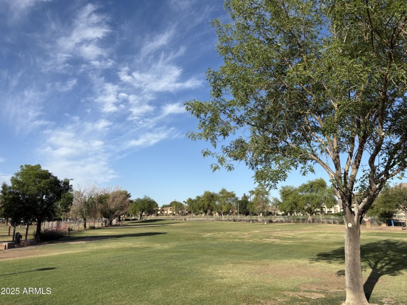 Chaparral Dog Park