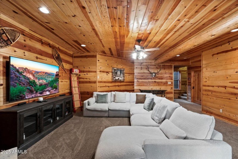 Lower Level Living