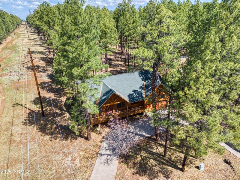 5238 BUCK SPRINGS RD, Pinetop, AZ
