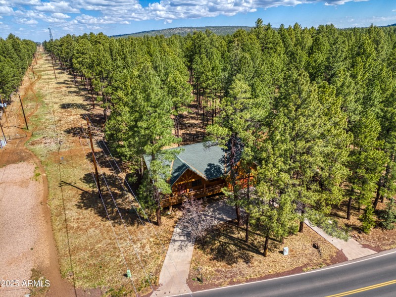 5238 BUCK SPRINGS RD, Pinetop, AZ