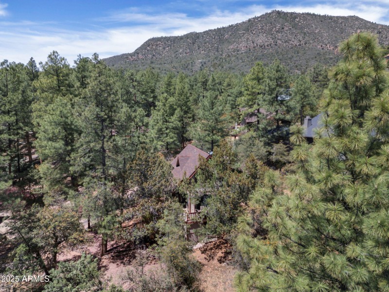 45-web-or-mls-TimberCreekImagery-45