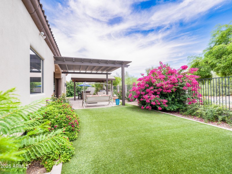 SW side yard 2