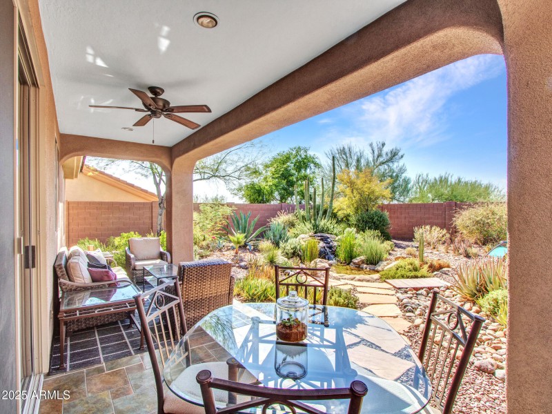 10-Backyard-2