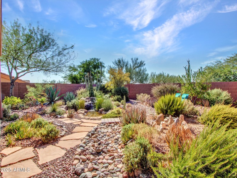 10-Backyard-3
