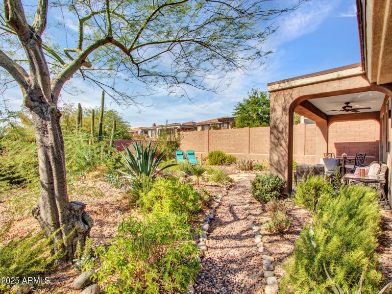 10-Backyard-8