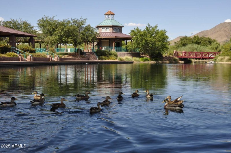 Anthem Community Lake
