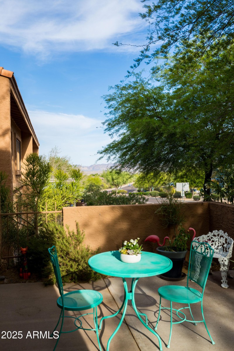 Back Patio2