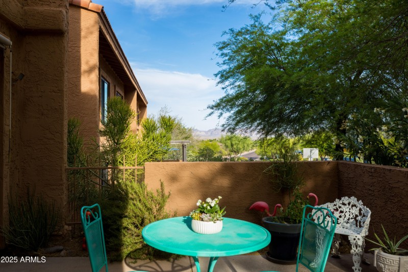 Back patio3