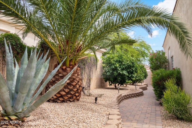 Side yard