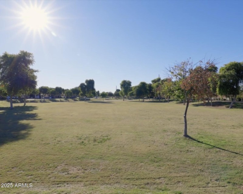 Field