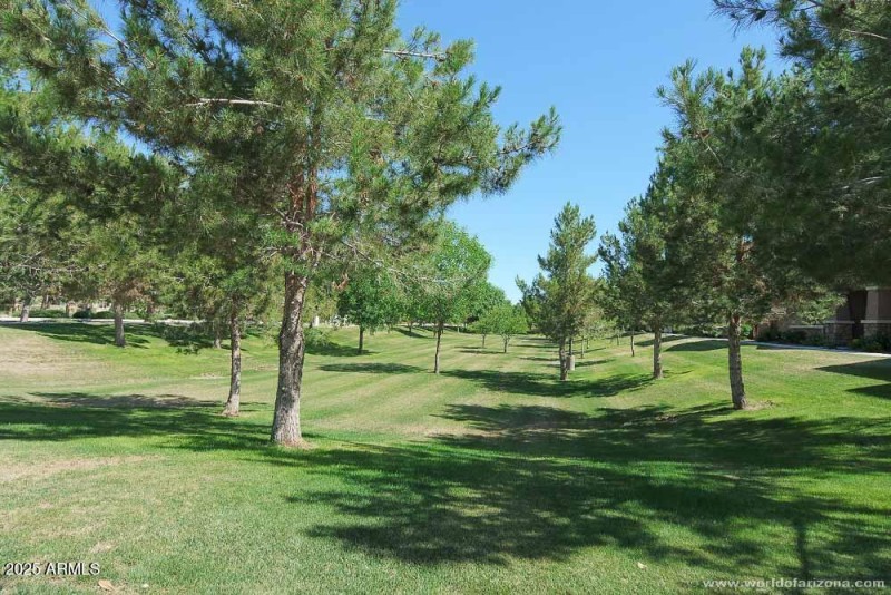 Community greenbelt