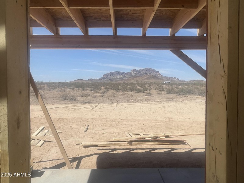 View from kitchen window May 29