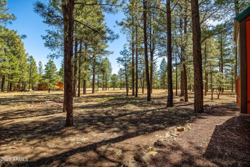 11N1030-Greer-AZ-26