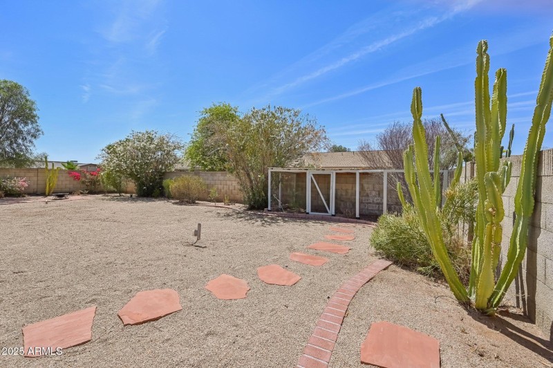 Back Yard