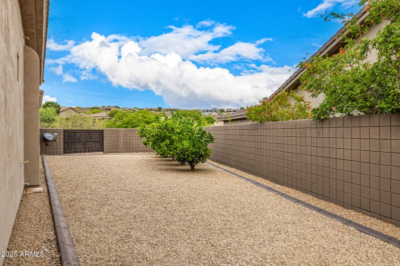 Fruit trees 14523 E Charter Oak Dr