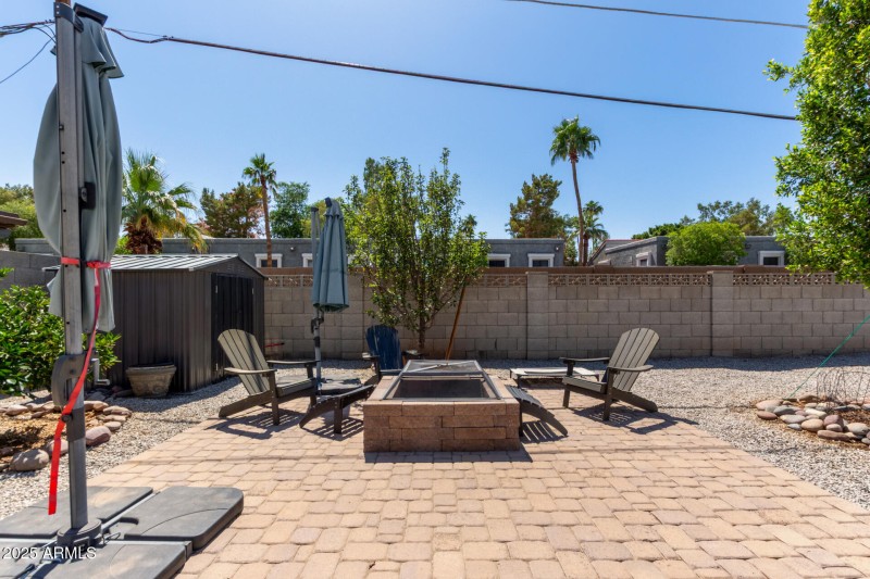 backyard 1