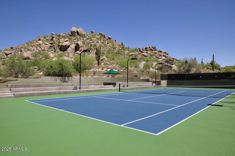 Championship court