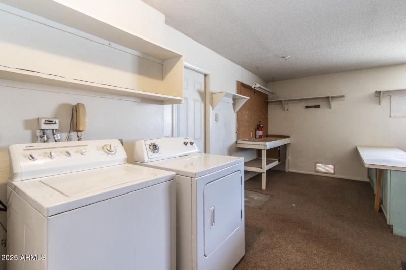 IMG_7519-Enhanced-NR