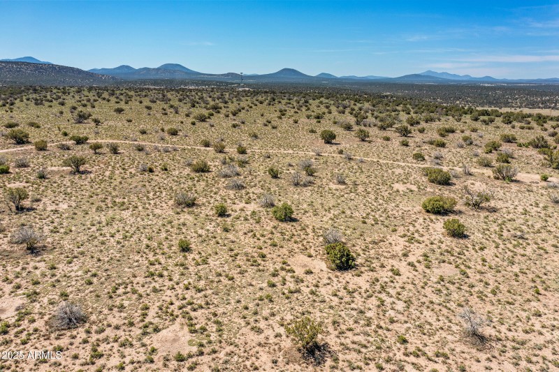 2684 W Critter Pass Williams-12