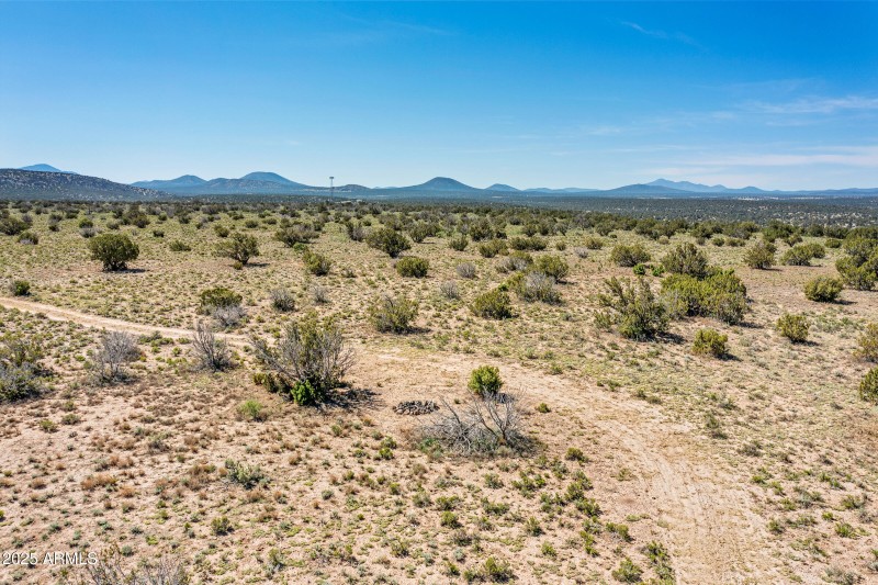2684 W Critter Pass Williams-13