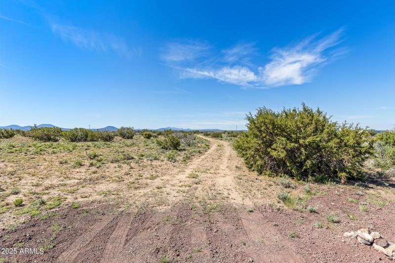 2684 W Critter Pass Williams-14