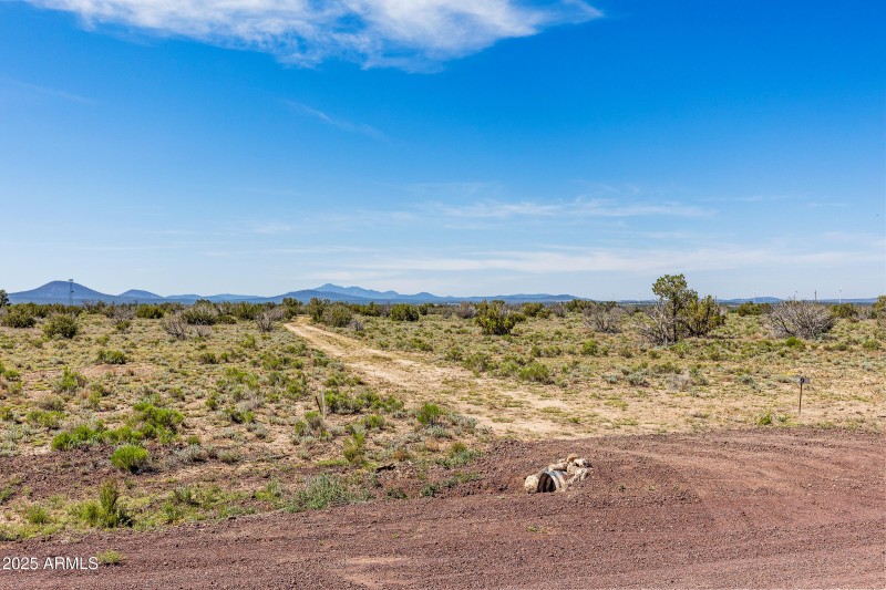 2684 W Critter Pass Williams-15