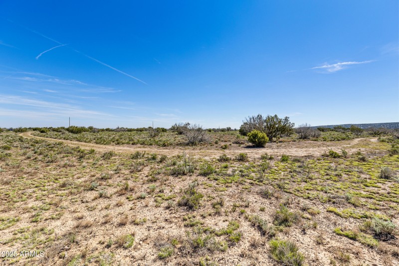 2684 W Critter Pass Williams-16