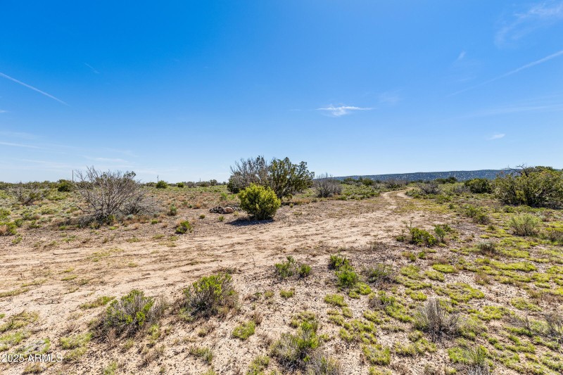 2684 W Critter Pass Williams-17
