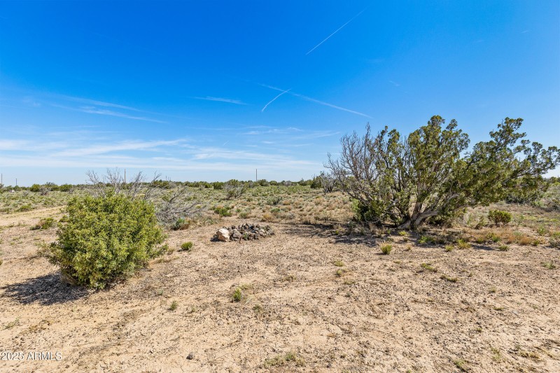2684 W Critter Pass Williams-18