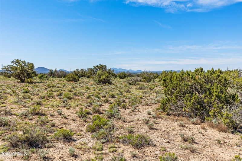 2684 W Critter Pass Williams-19