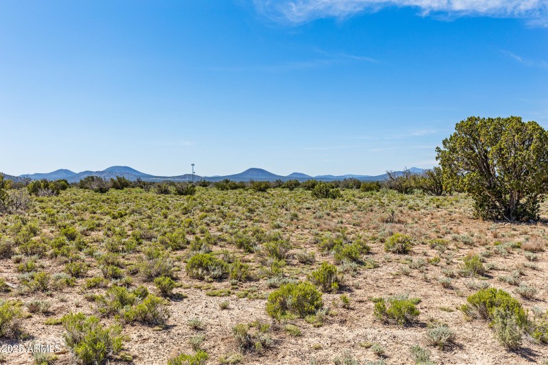 2684 W Critter Pass Williams-20