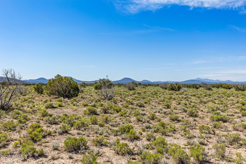 2684 W Critter Pass Williams-21