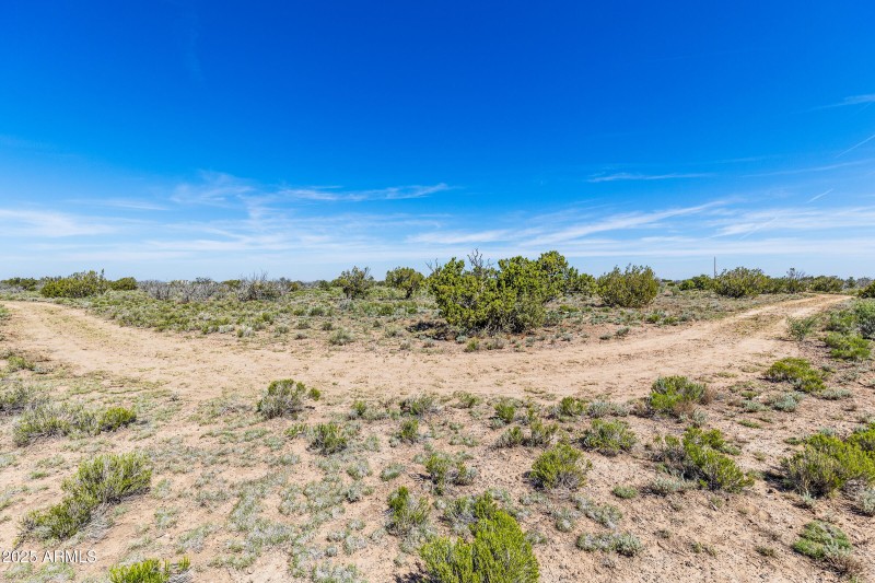 2684 W Critter Pass Williams-22